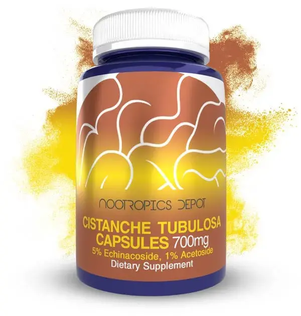 Cistanche Nootropics Depot